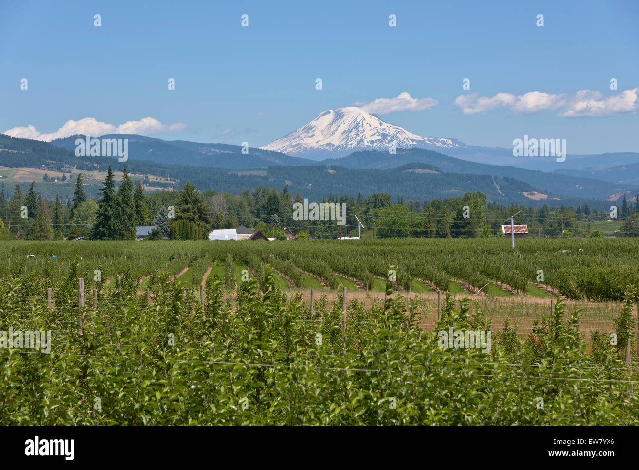 Mt Adams and the Hood River valley landscape Oregon Stock Photo Alamy