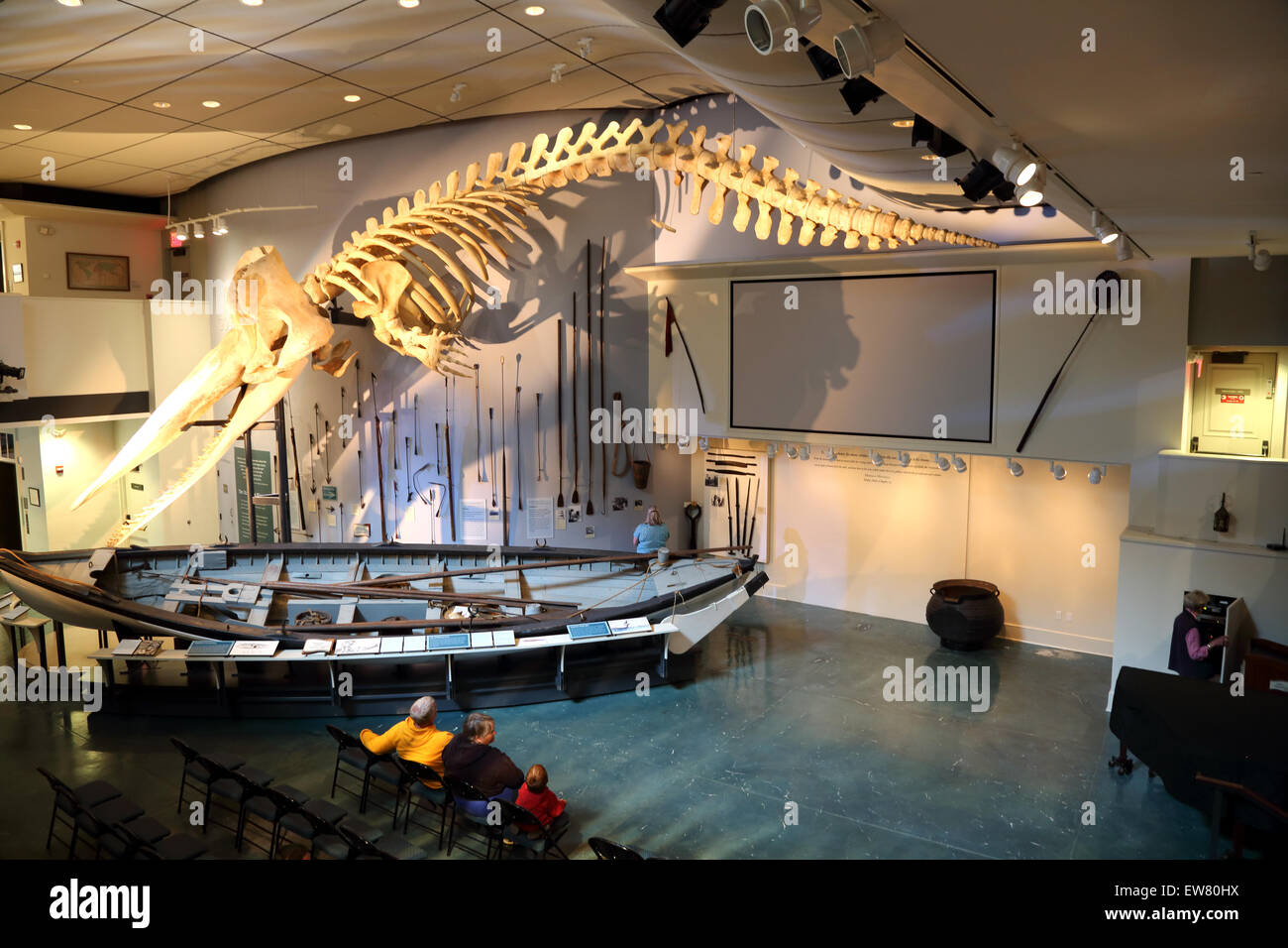 Sperm whale skeleton, whaling lecture room, Nantucket Whaling Museum, Nantucket, Massachusetts Stock Photo
