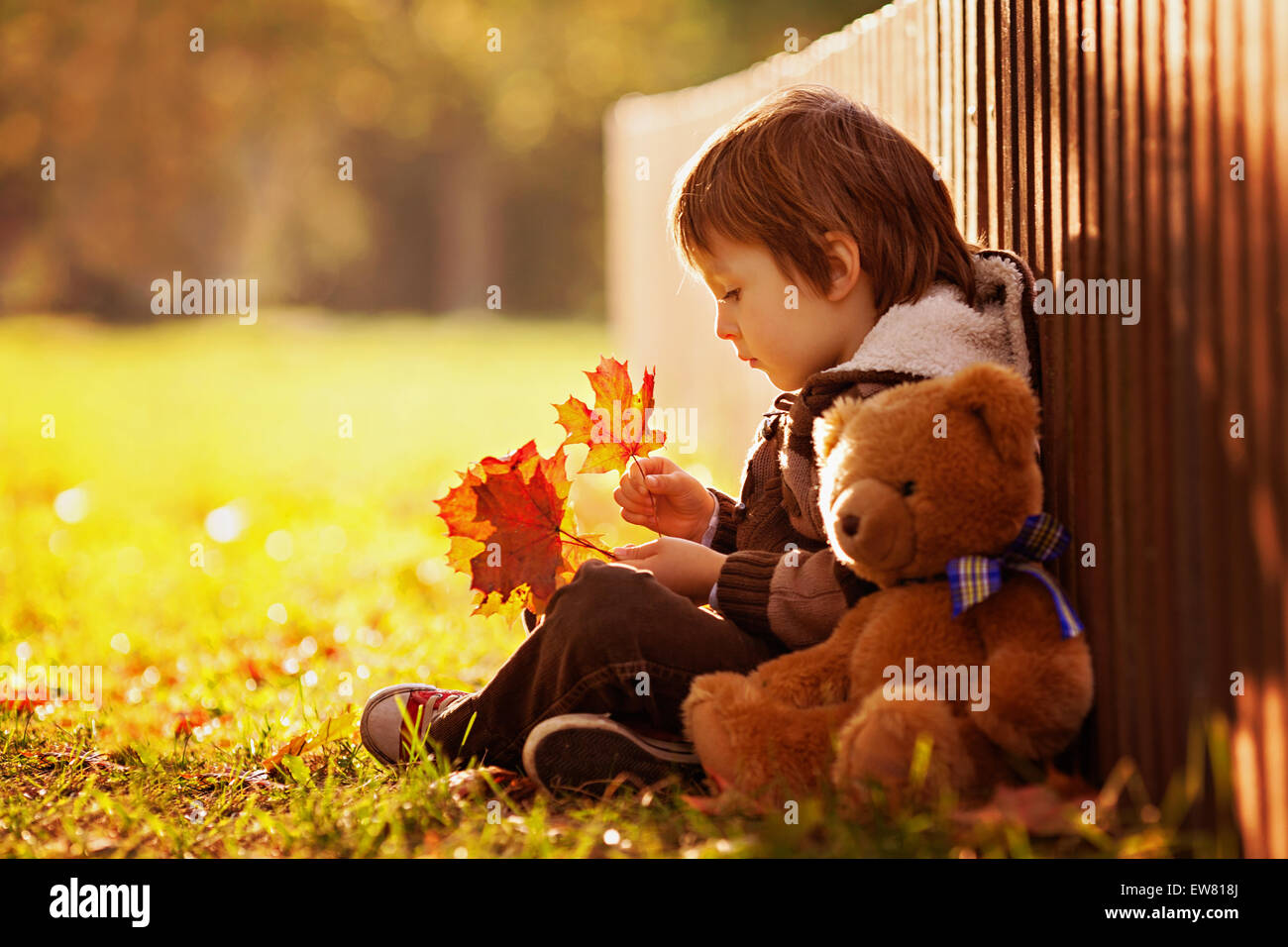 Adorable little boy with teddy bear in the park on an autumn day in the ...