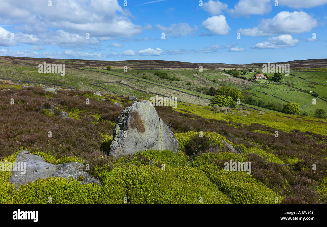 North York Moors National Park showing Glaisdale dale with fields, farmland, trees, and heather  under a bright cloudy sky . Stock Photo