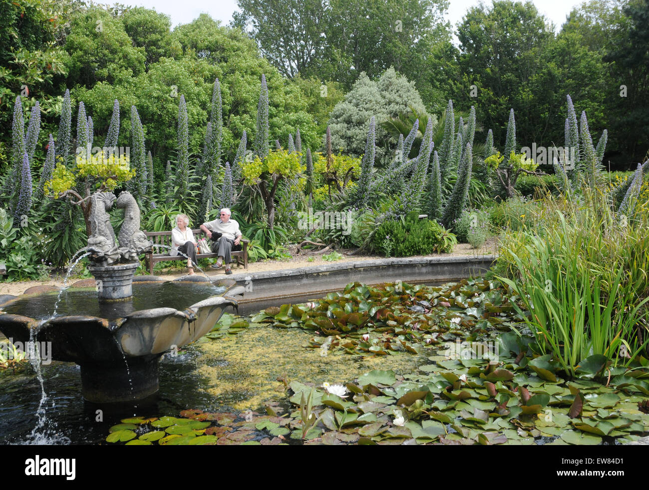 The Botanical Gardens, Ventnor, Isle of Wight Stock Photo Alamy