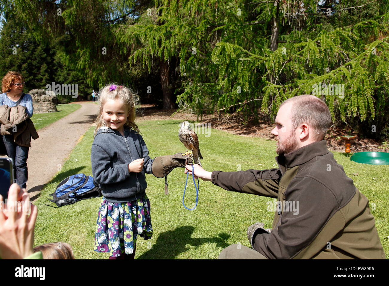 Children meeting birds of prey at Aberdeen Botanical Gardens open day, Fife, Scotland Stock Photo