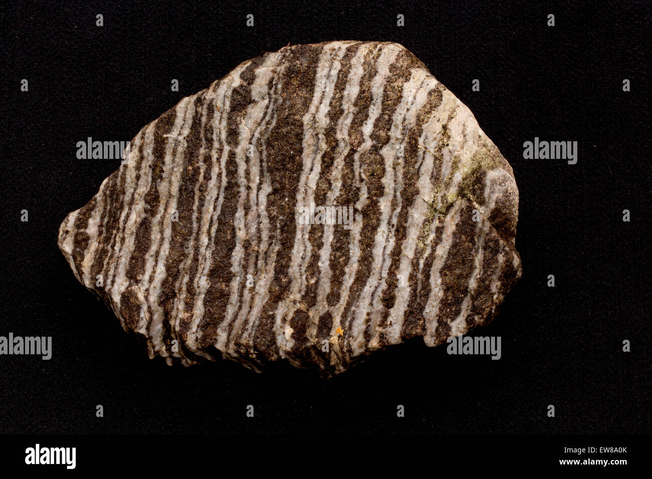 Foliated gneiss, Maryland, a metamorphic rock Stock Photo