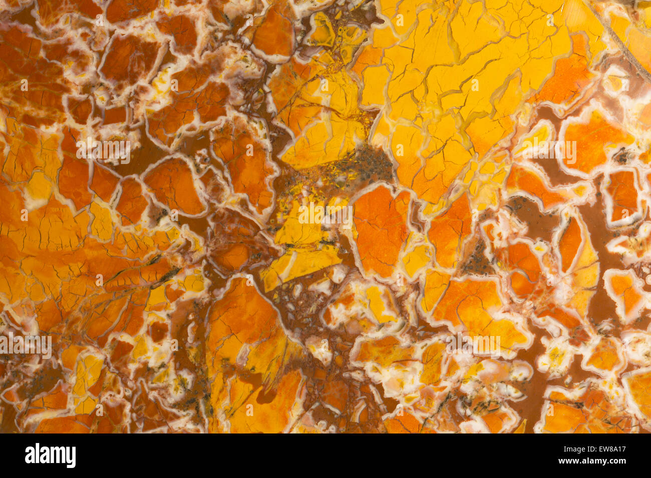 Stone canyon jasper, California, cryptocrysatline quartz Stock Photo