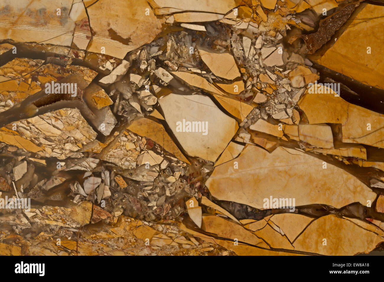 Brecciated mookaite, fossil radiolarians, cretaceous Western Australia Stock Photo