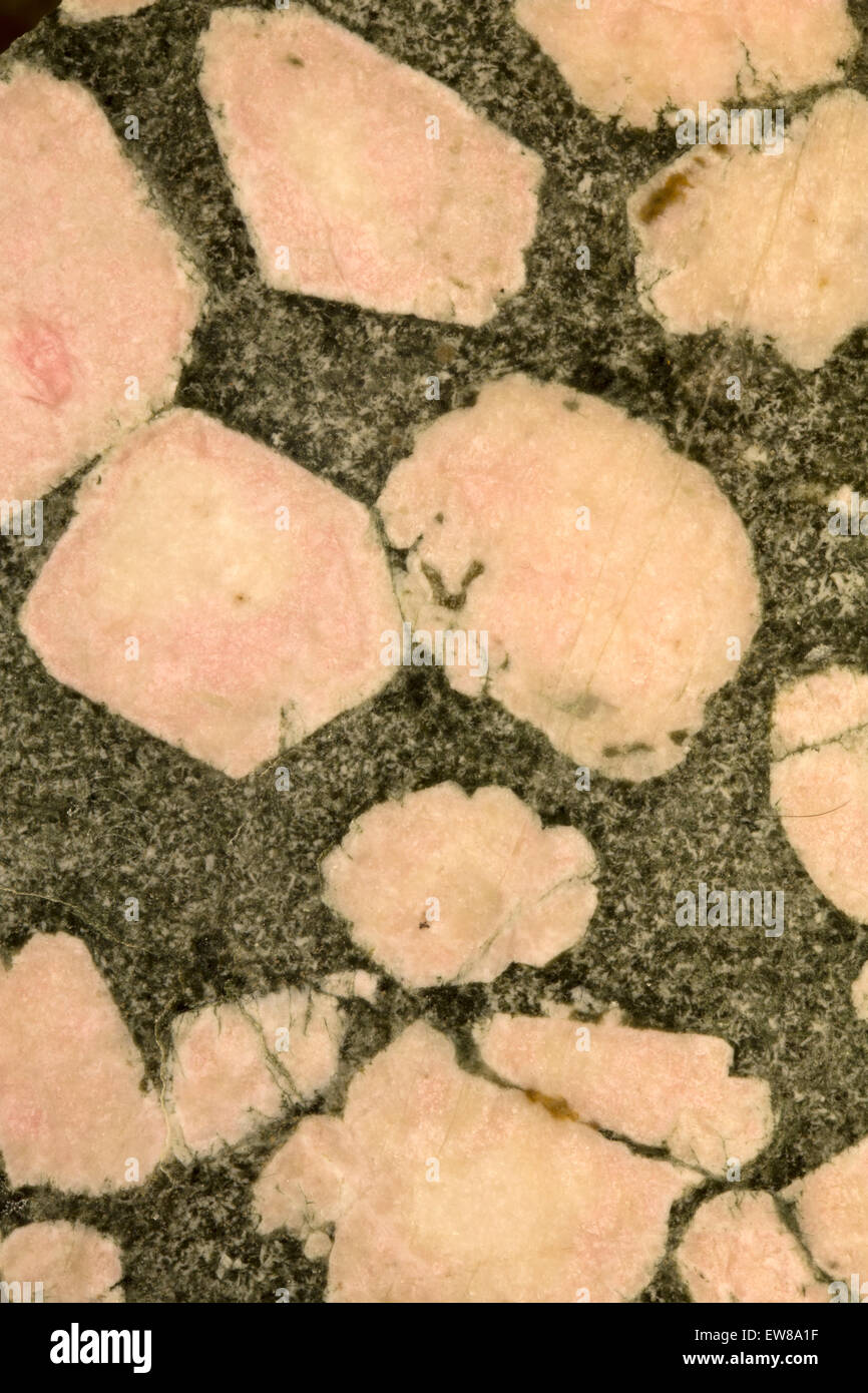 Porphyry,  igneous rock, feldspar phenocrysts in mafic matrix, Australia, show two different stages of cooling Stock Photo