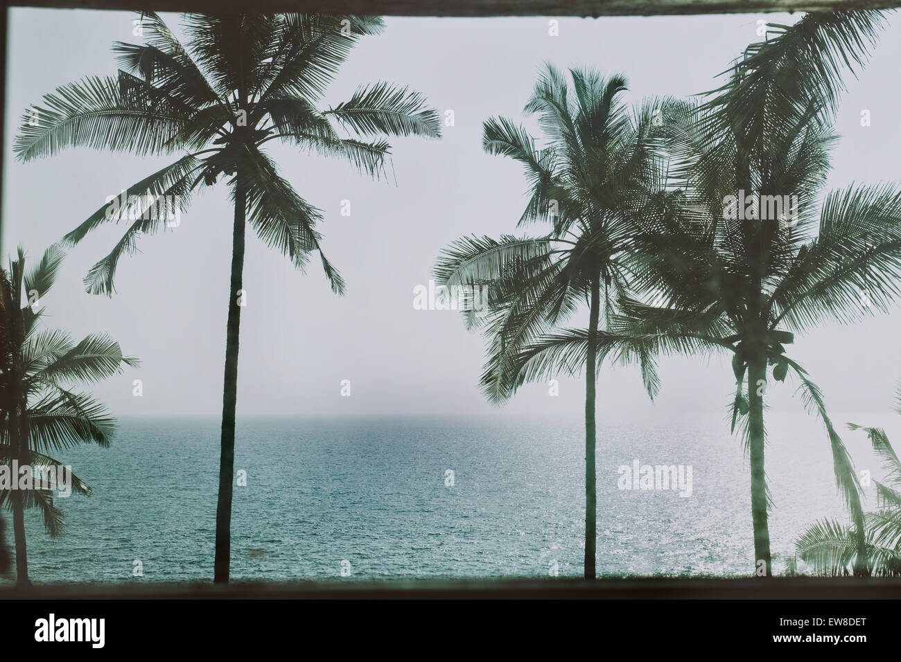 Tropical landscape with palm trees and the sea Stock Photo - Alamy
