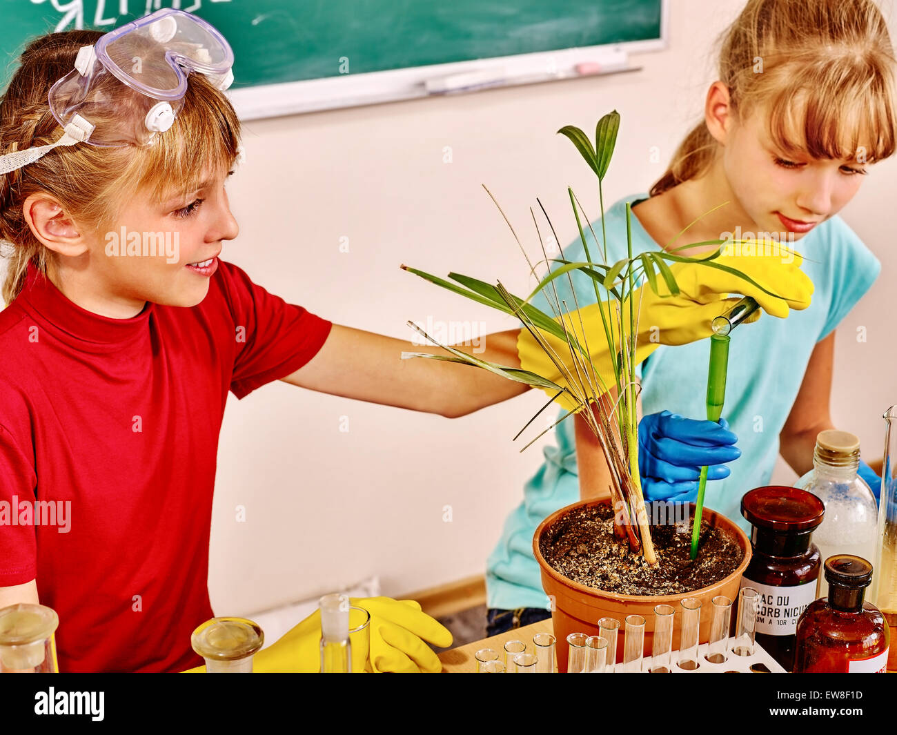 Kids in biology class. Stock Photo