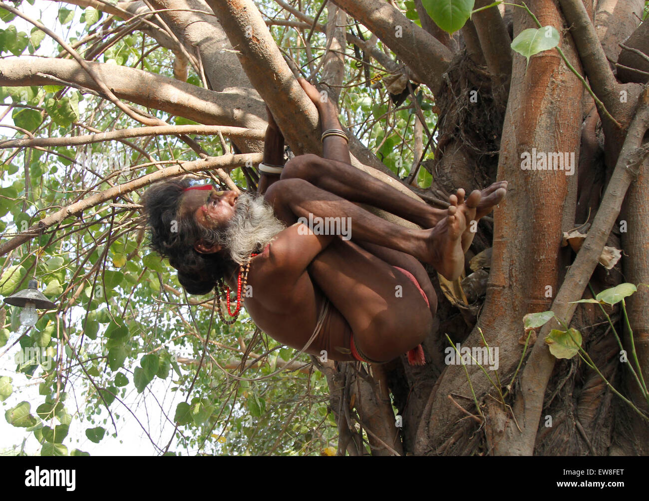 allahabad-india-20th-june-2015-a-sadhu-or-holy-man-performs-yoga-on-EW8FET.jpg