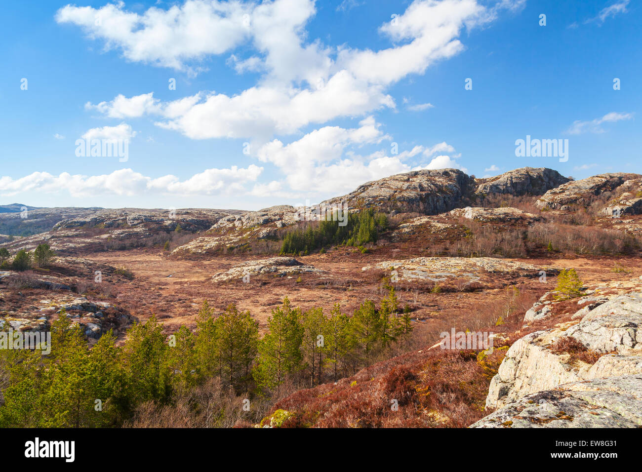 Spring Norwegian mountain landscape with cloudy sky and pine trees Stock Photo