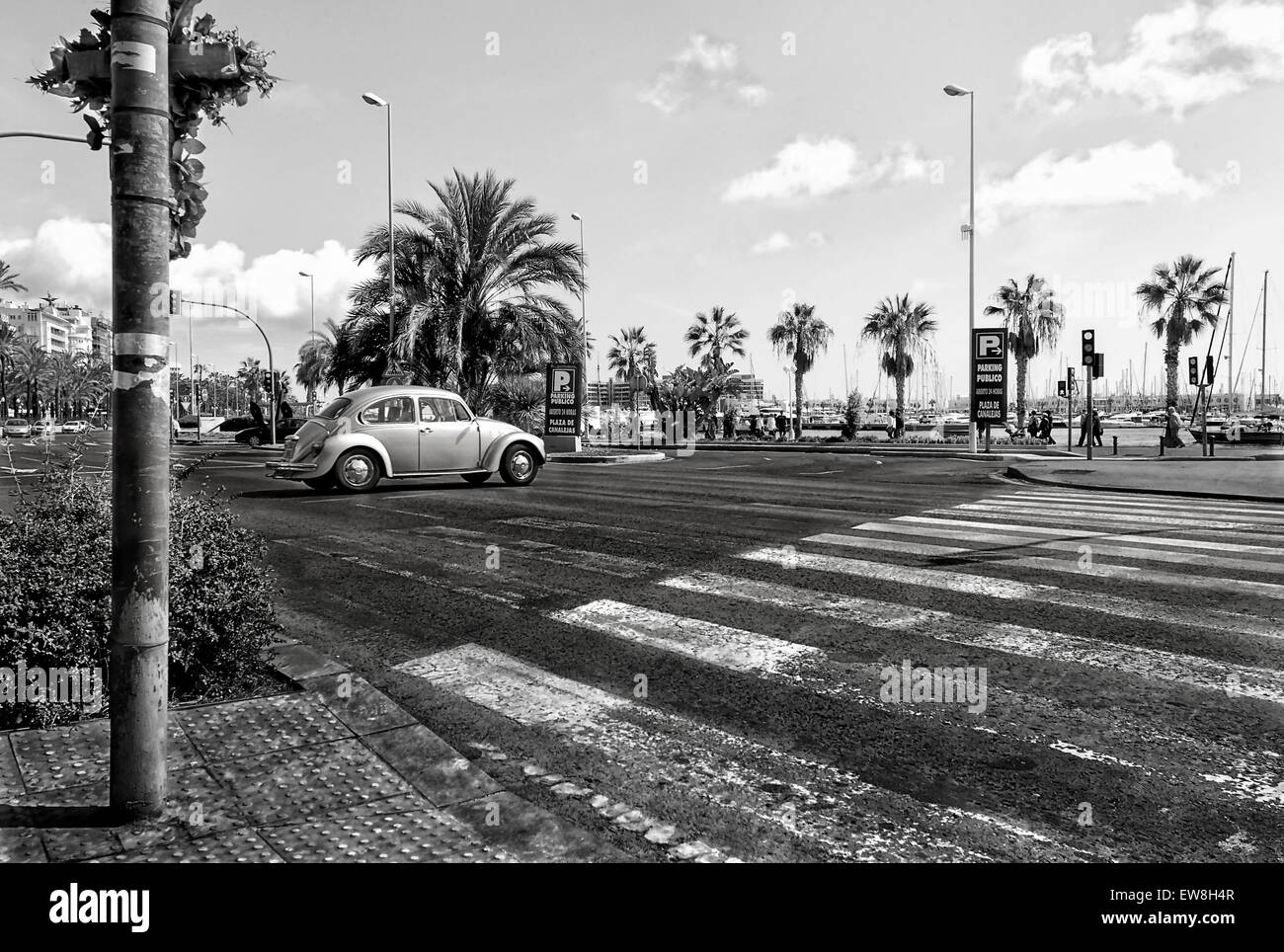 -Popular Beetle running on the road- Alicante (Spain). Stock Photo