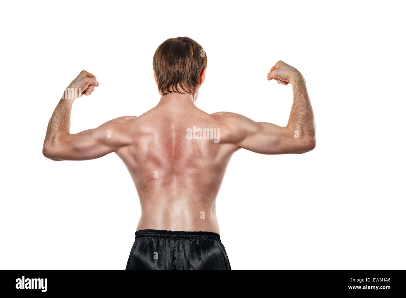 Músculos espalda