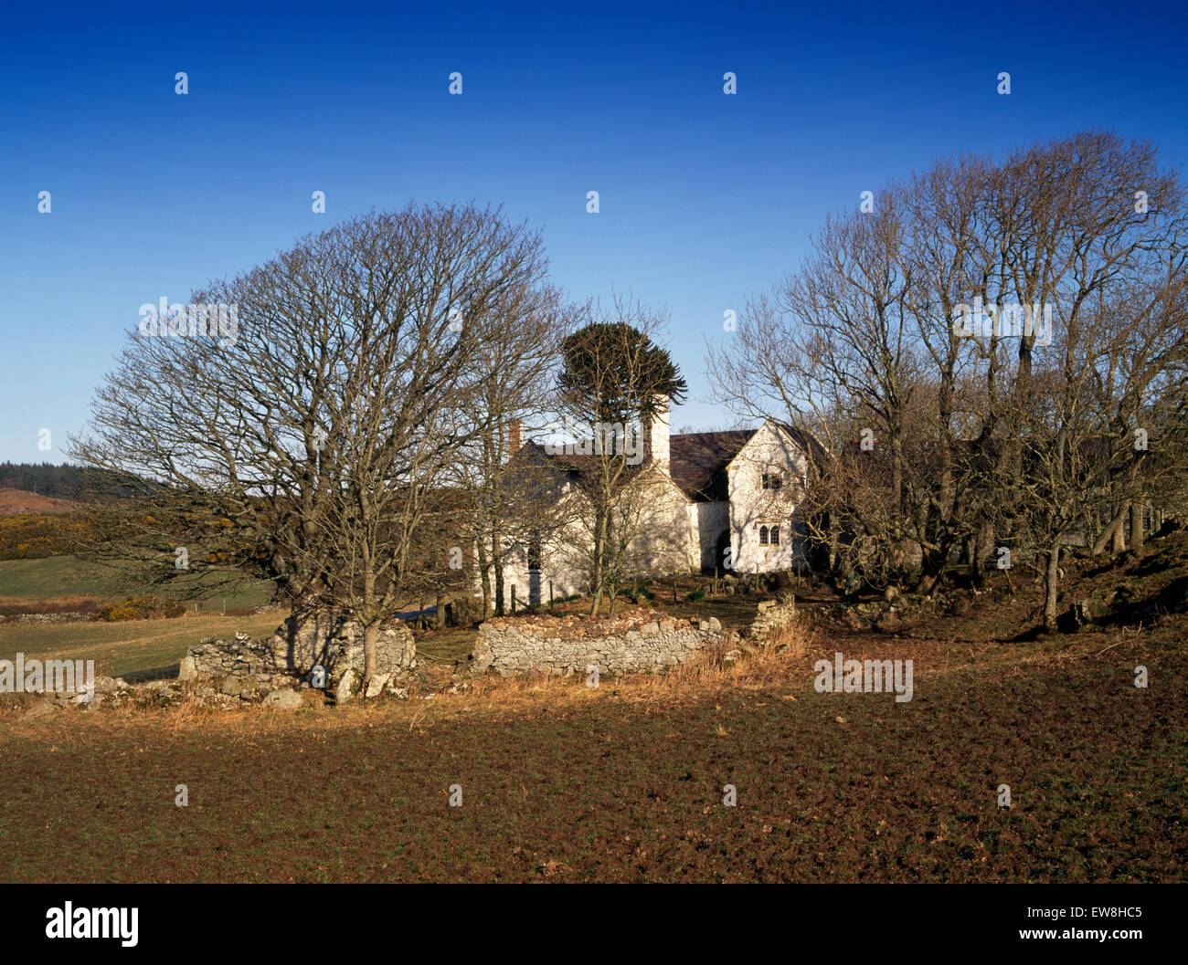 Hafoty, Llansadwrn, Anglesey a timberframed Medieval house (R) eventually became the E wing of