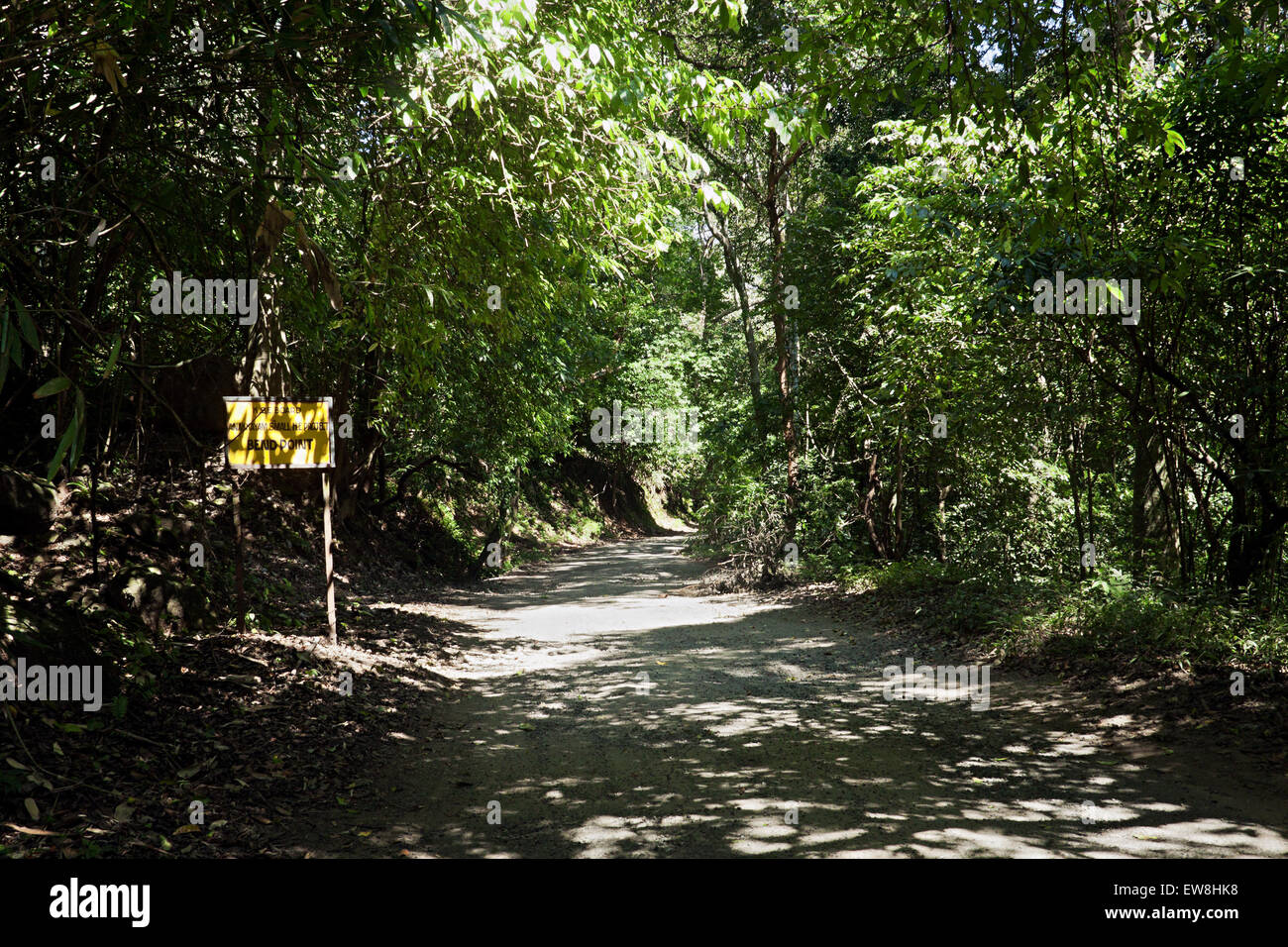 Thick forest trees in kerala hi-res stock photography and images - Alamy