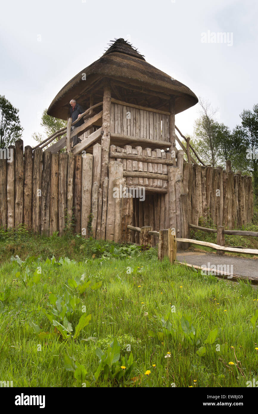 Ireland, Co Wexford, Irish National Heritage Park, tourist in Early Medieval Ringfort Stock Photo