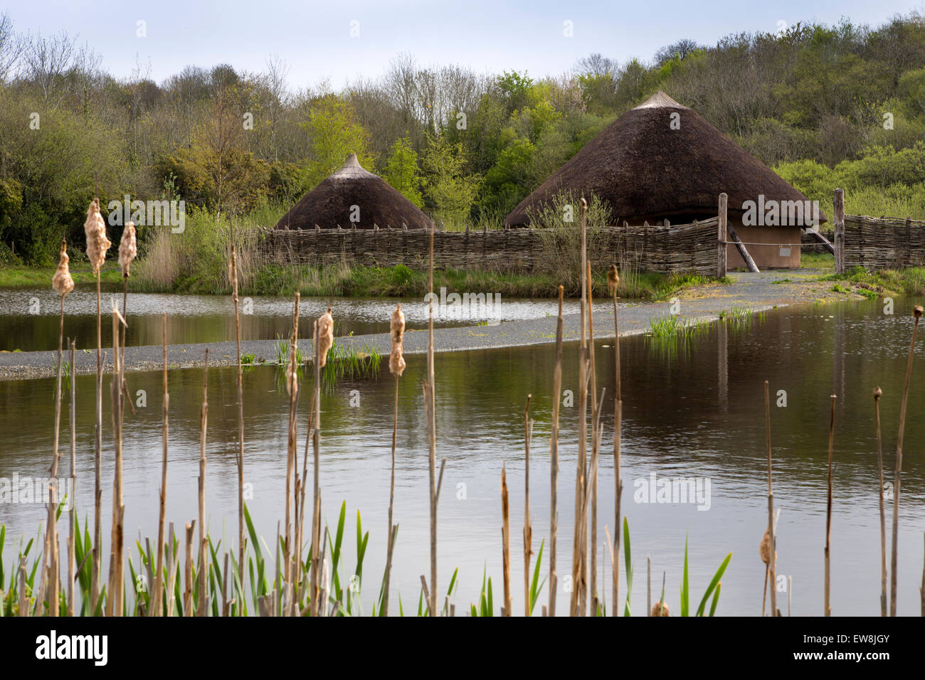 Ireland, Co Wexford, Irish National Heritage Park, Crannog settlement across lake Stock Photo