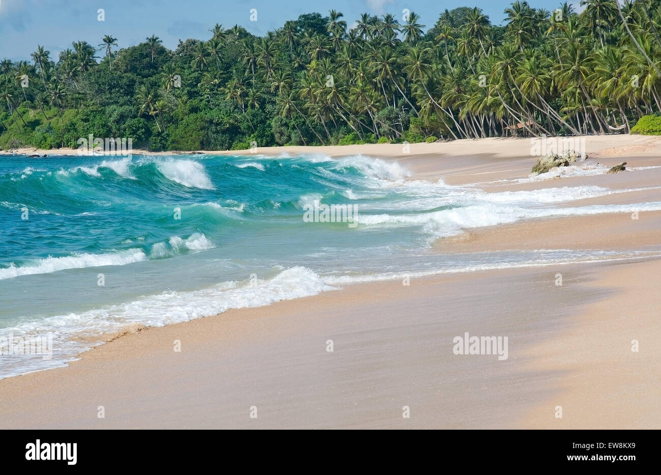 Paradise beach with green turquoise waves, coconut palm trees and fine untouched sand, Southern Province, Sri Lanka, Asia. Stock Photo