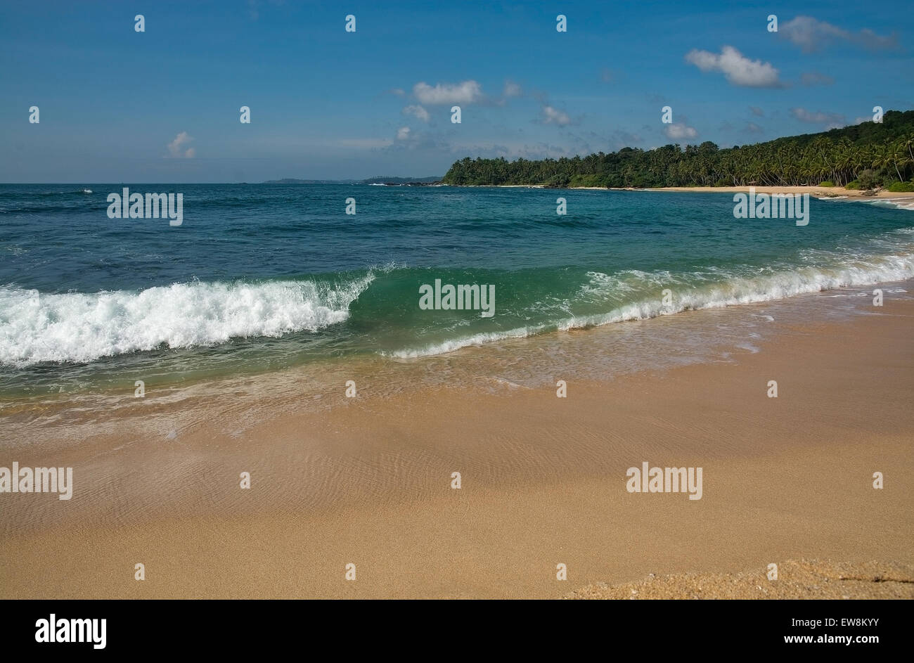 Paradise beach with green turquoise waves, coconut palm trees and fine untouched sand, Southern Province, Sri Lanka, Asia. Stock Photo
