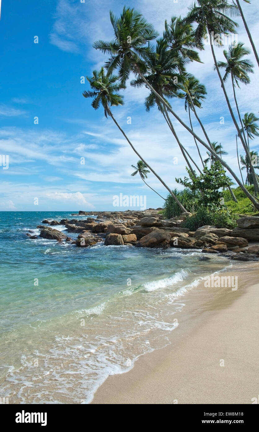 Coconut palm trees and sandy beach in remote location, Southern Province, Sri Lanka, Asia. Stock Photo