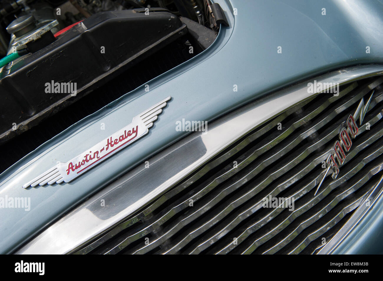 An Austin Healey 3000 badge on an ice blue example of the classic car Stock Photo