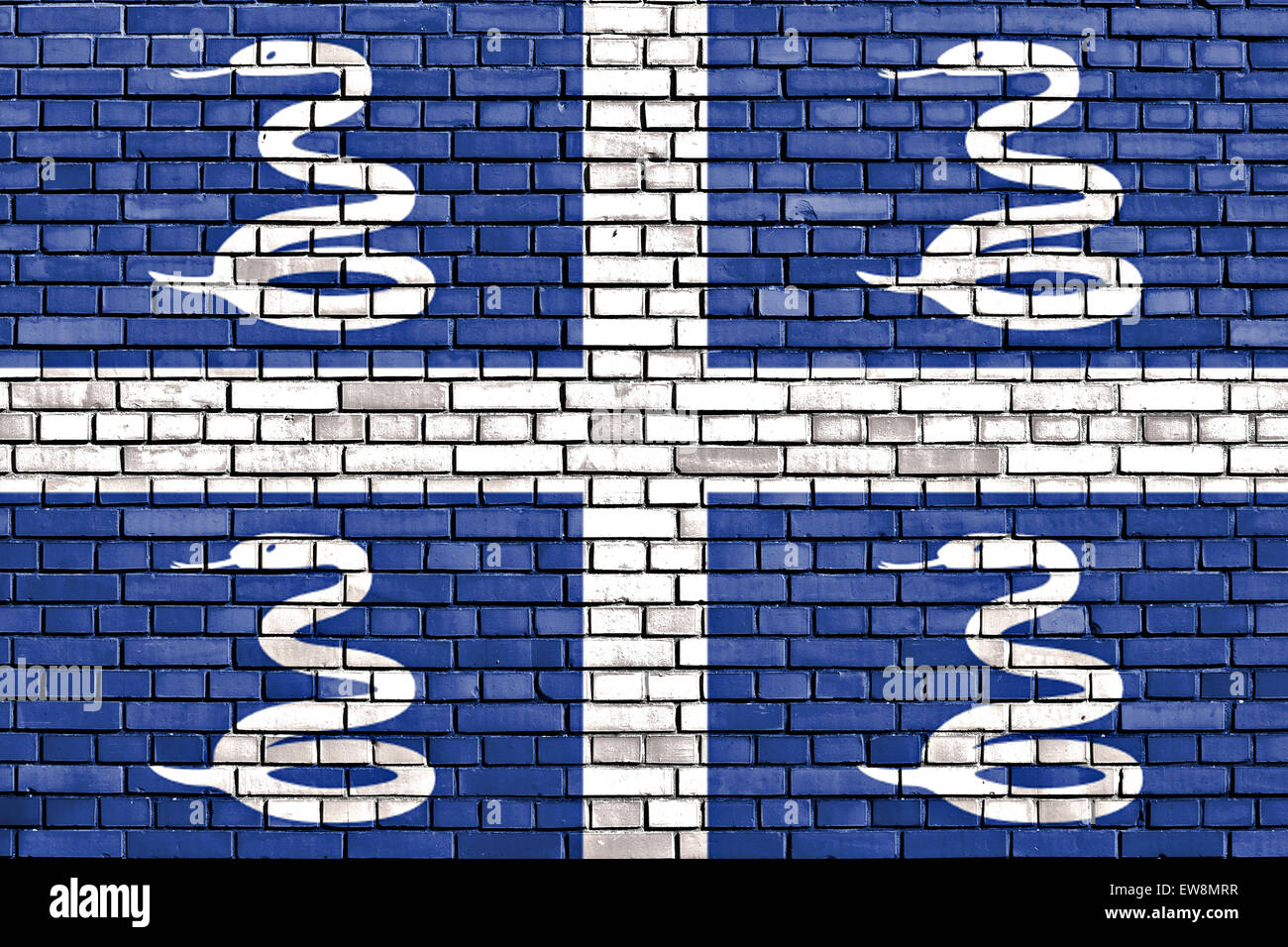 flag of Martinique painted on brick wall Stock Photo