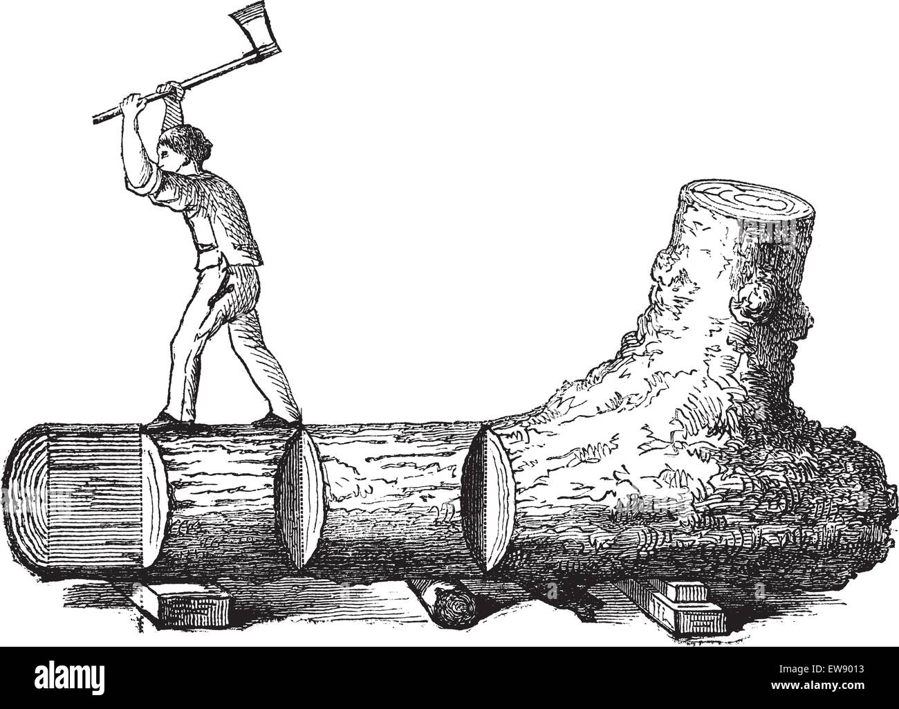 How a Tree is Made into Lumber lumberjack cutting a tree trunk into