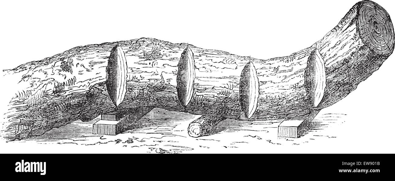 How a Tree is Made into Lumber cutting a bent tree trunk into