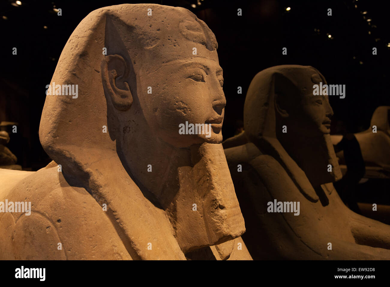 Detail of an Egyptian Sphinx - Ramesside Period Stock Photo