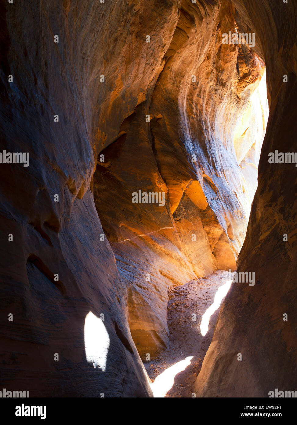 Tunnel Slot Canyon, along Harris Wash, Grand StaircaseEscalante
