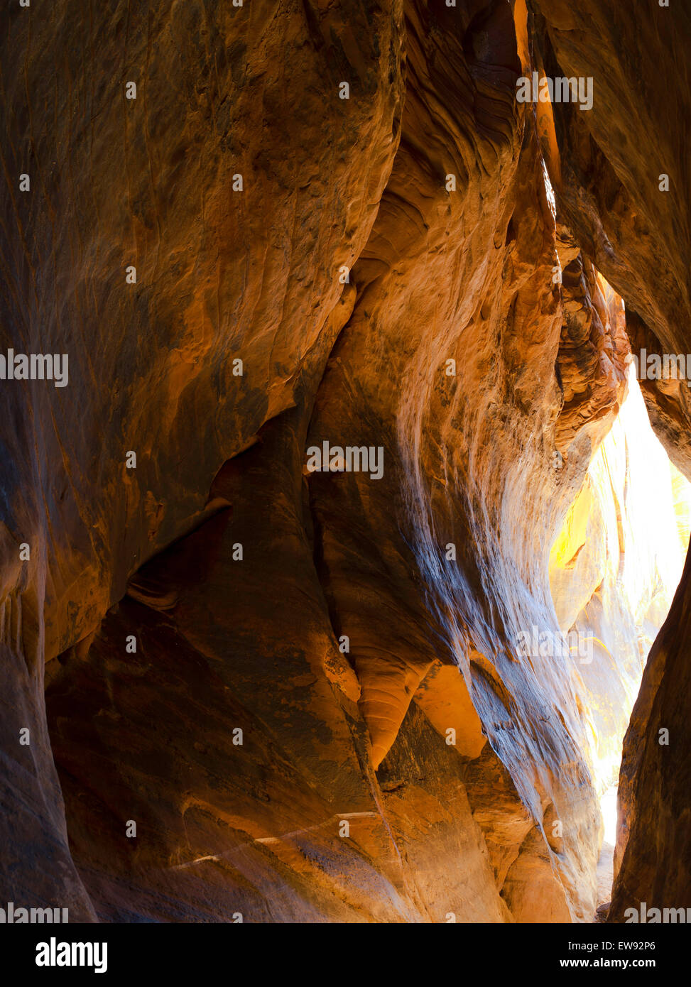 Tunnel Slot Canyon, along Harris Wash, Grand StaircaseEscalante