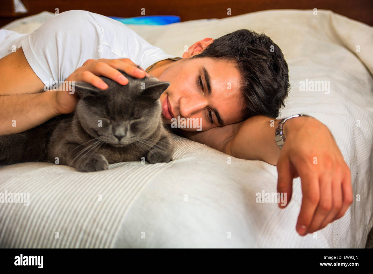 Handsome Young Animal-Lover Man on a Bed, Hugging and Cuddling his Gray Domestic Cat Pet. Stock Photo