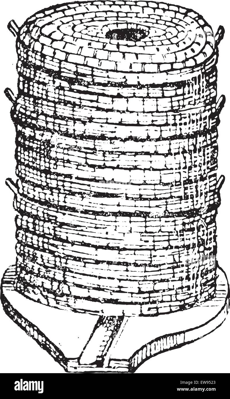 Hive, vintage engraved illustration. Dictionary of words and things Larive and Fleury 1895