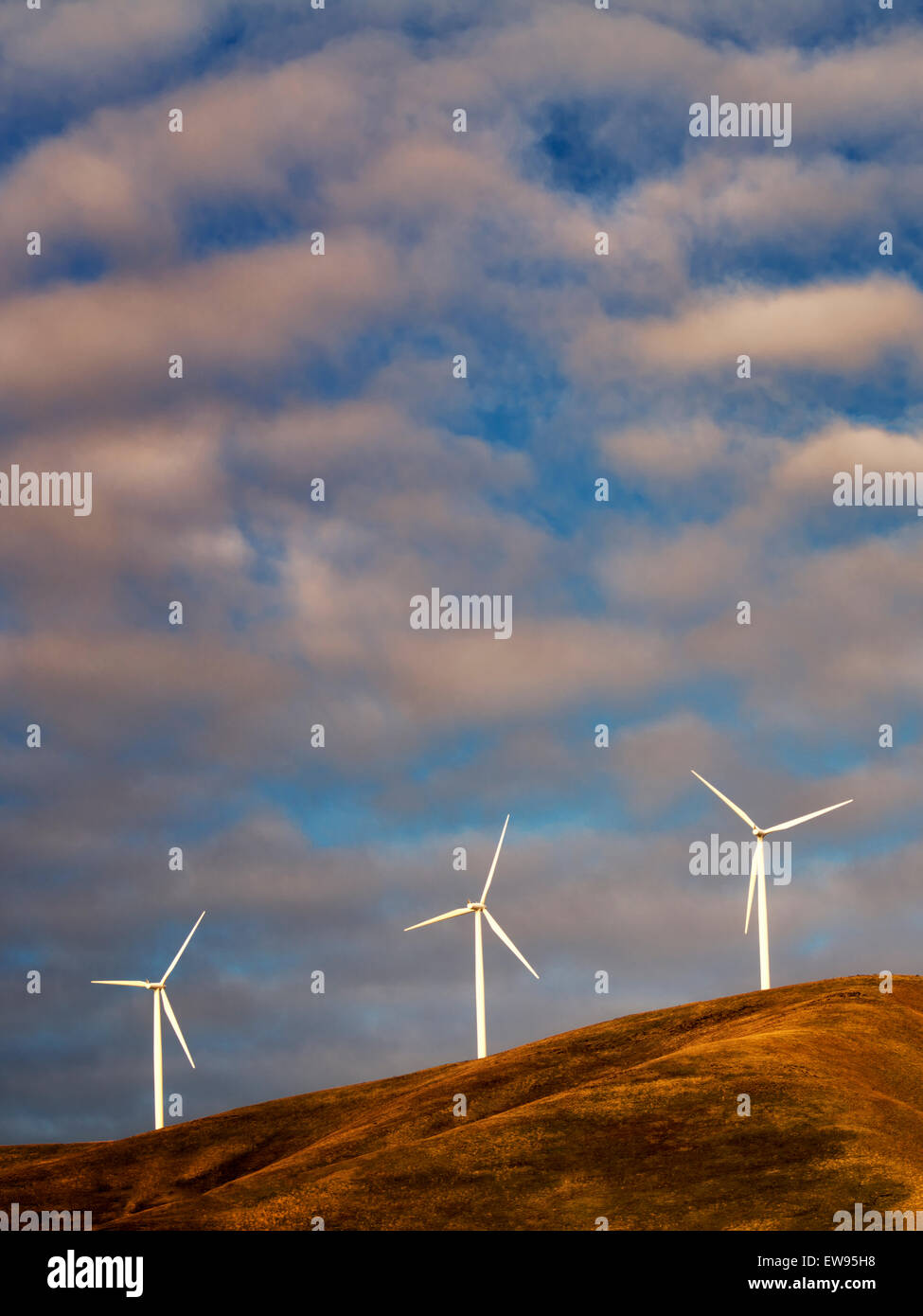 Windmills near the Columbia River Gorge, Oregon Stock Photo