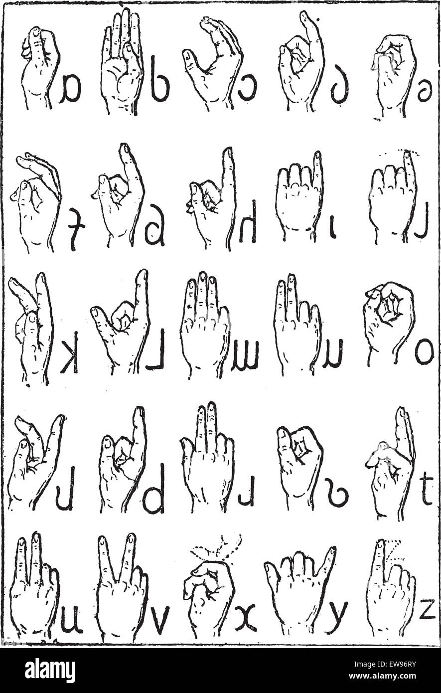 Alphabet of deafmutes, vintage engraved illustration. Dictionary of