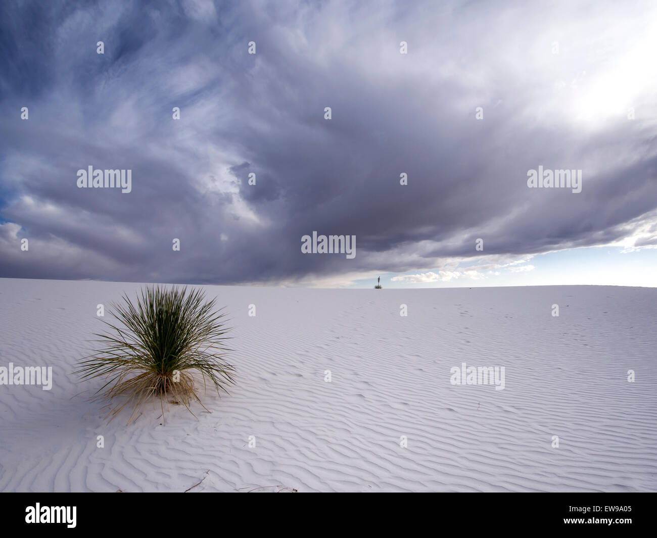 Dramatic Landscape - White Sand Desert with Approaching Storm Stock Photo