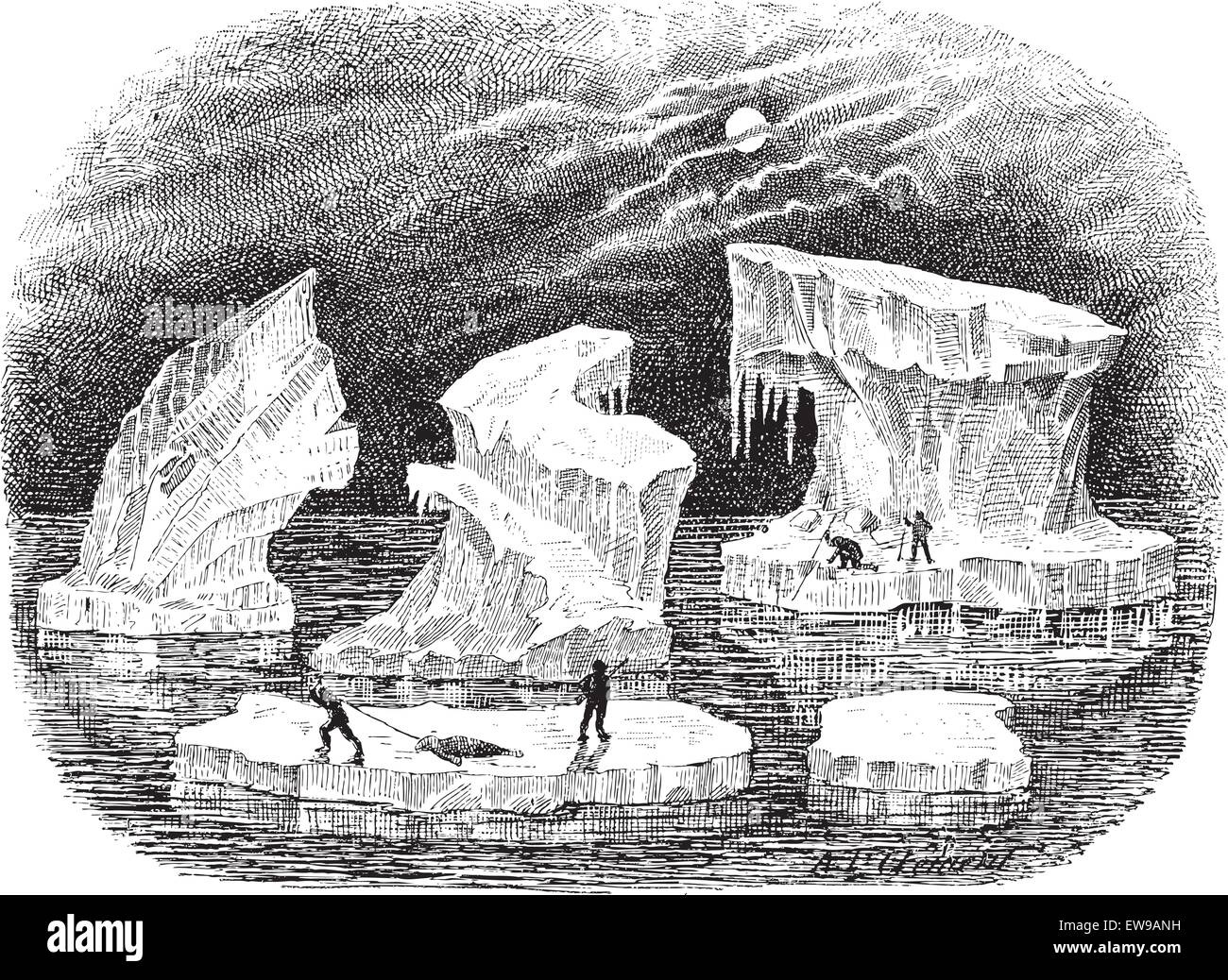 Pack ice old picture Stock Vector Images Alamy