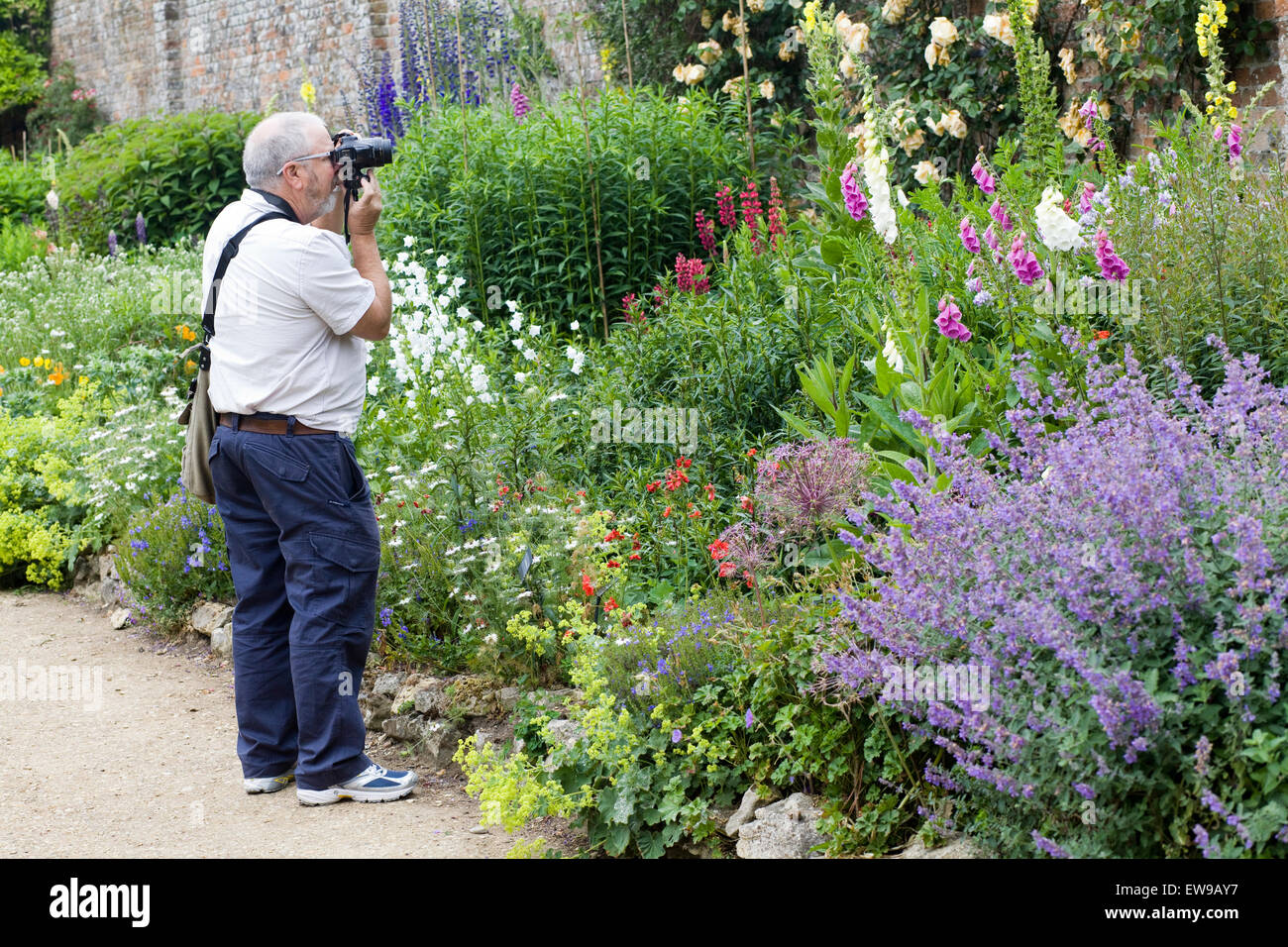 Man Taking Pictures of the walled flower Garden Stock Photo