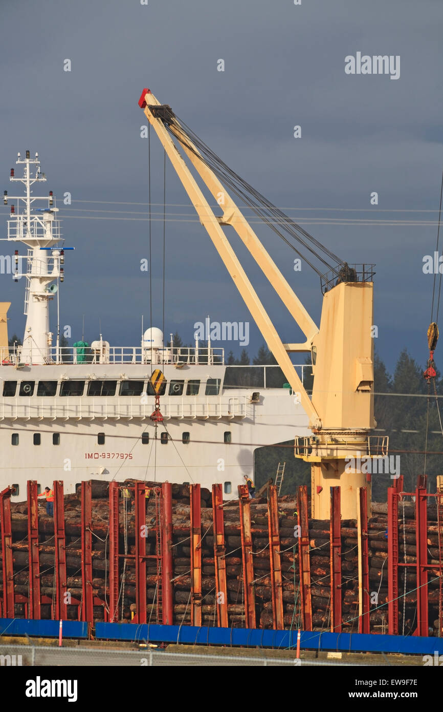 Loading raw logs onto freighter, Nanaimo harbour, Vancouver Island ...