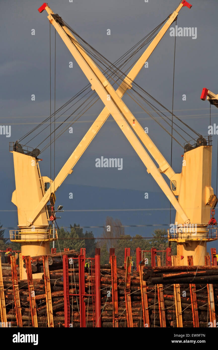 Loading raw logs onto freighter, Nanaimo harbour, Vancouver Island ...