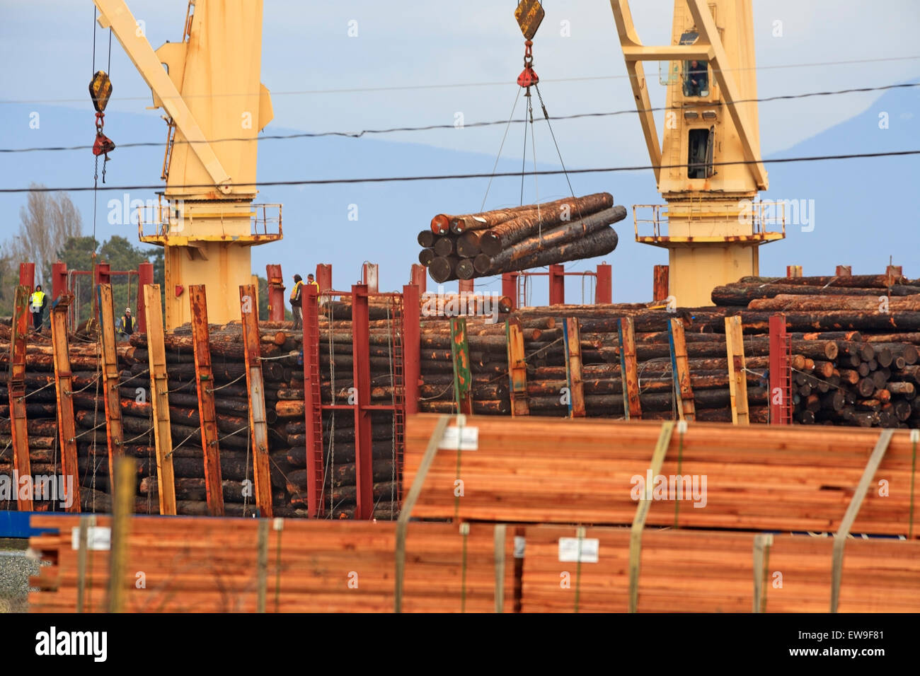 Loading raw logs onto freighter, Nanaimo harbour, Vancouver Island ...