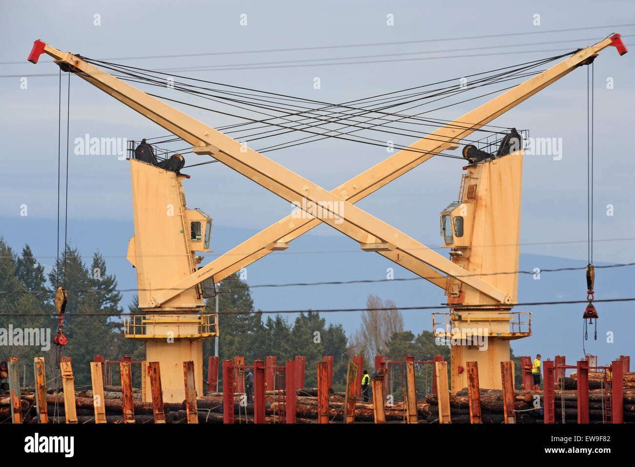 Loading raw logs onto freighter, Nanaimo harbour, Vancouver Island ...
