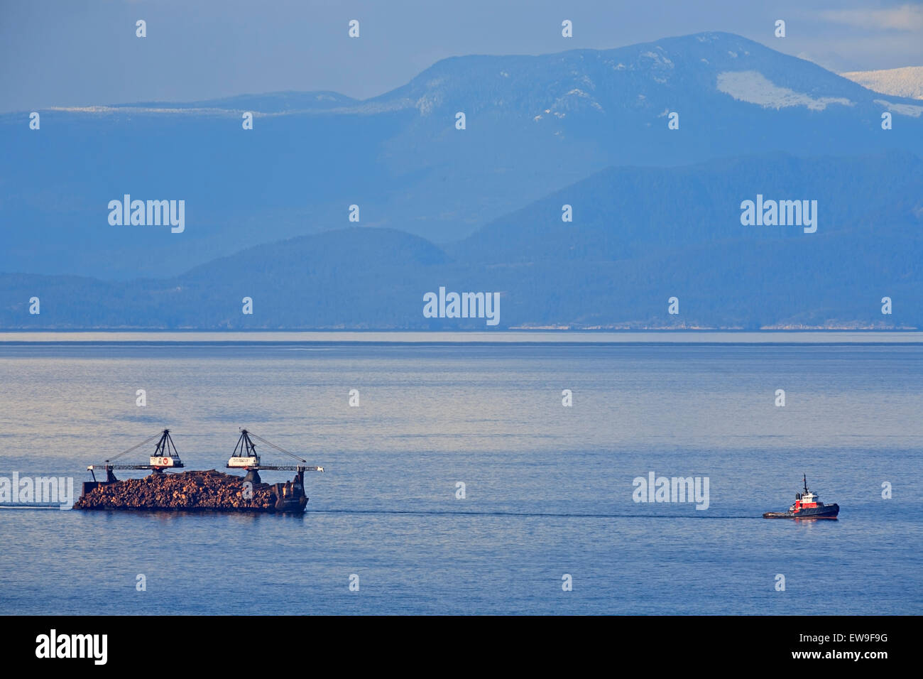 Tugboat towing self dumping log barge in Georgia Strait, near Nanaimo, Vancouver Island Stock Photo