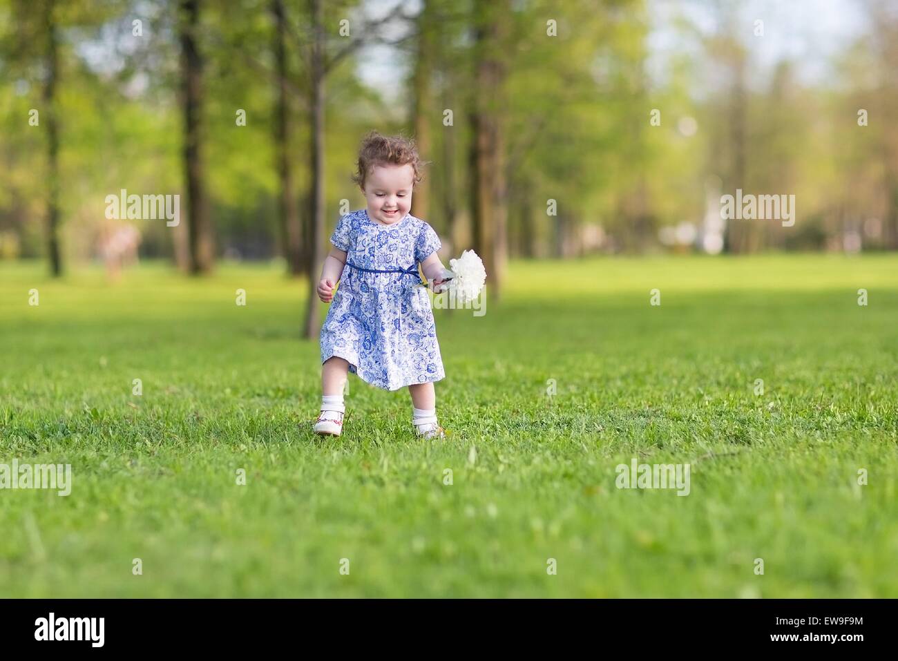 Beautiful baby girl in a blue dress running with a big white aster ...