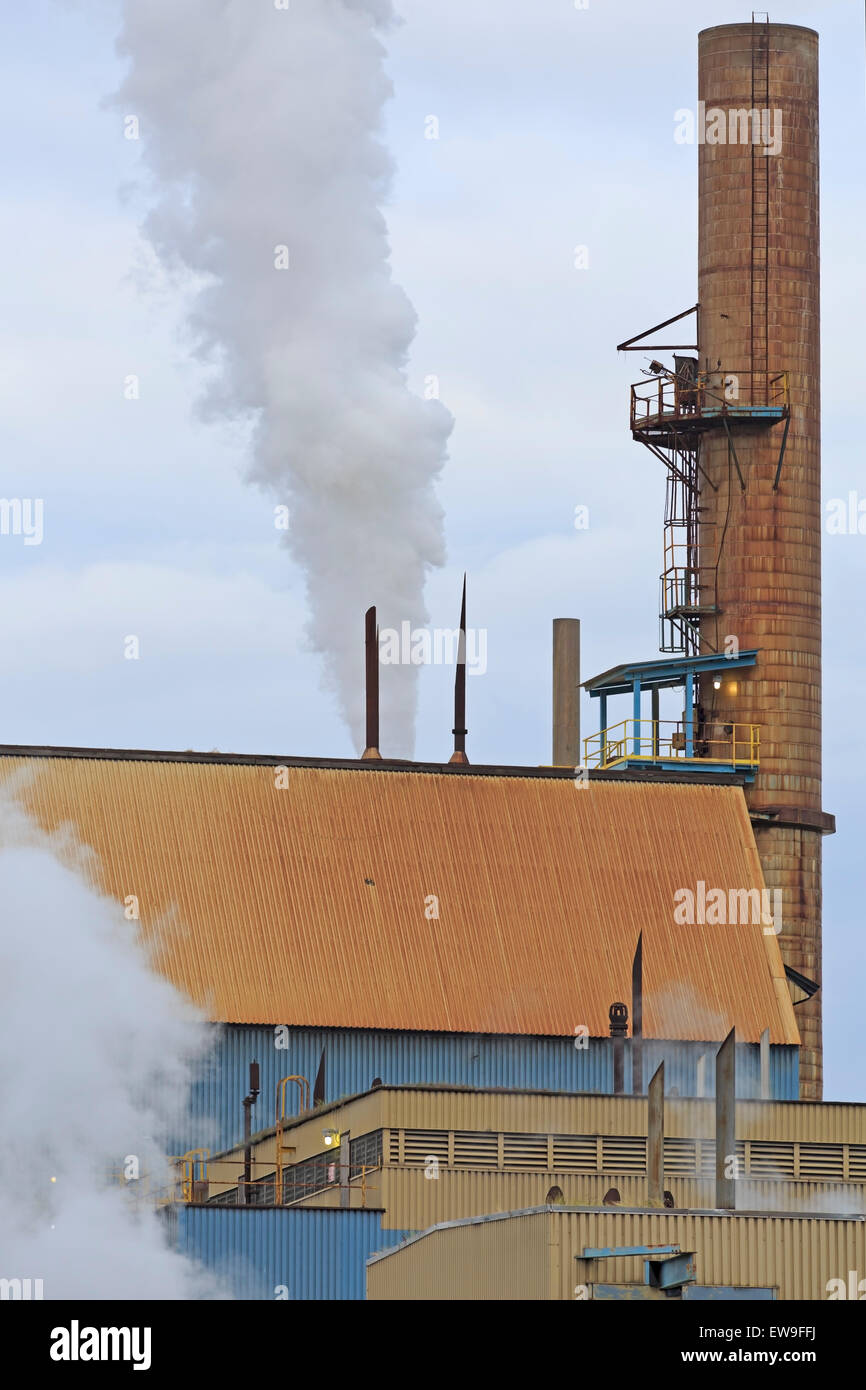 Catalyst Paper's pulp mill at Crofton, Vancouver Island, British