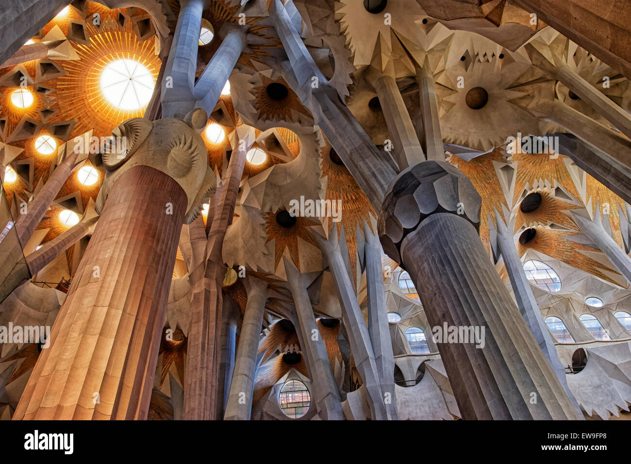 Interior ceilings of the Sagrada Familia Cathedral in Barcelona Stock ...