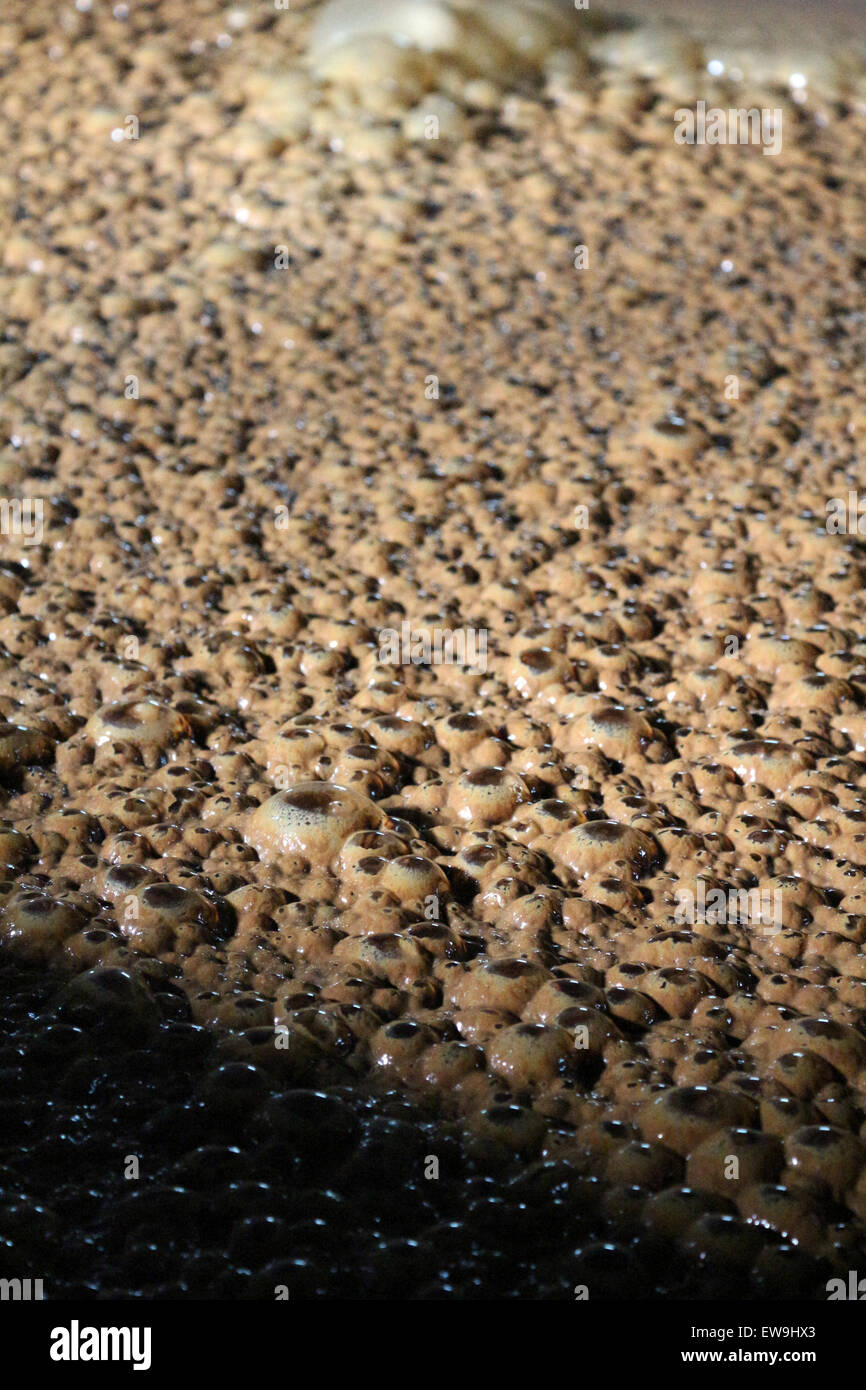 Bubbles from fermentation at a rum distillery Stock Photo Alamy