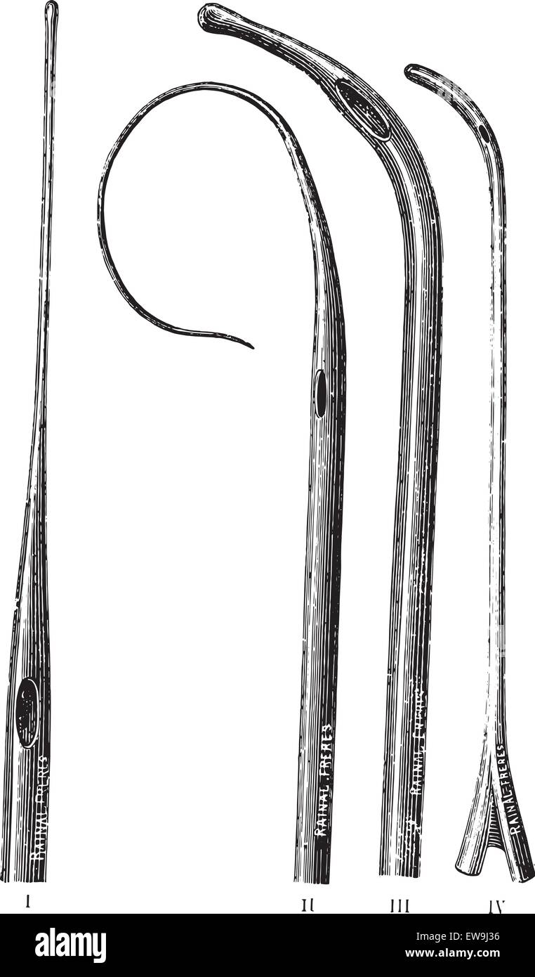 Probes, vintage engraved illustration. Usual Medicine Dictionary by Dr