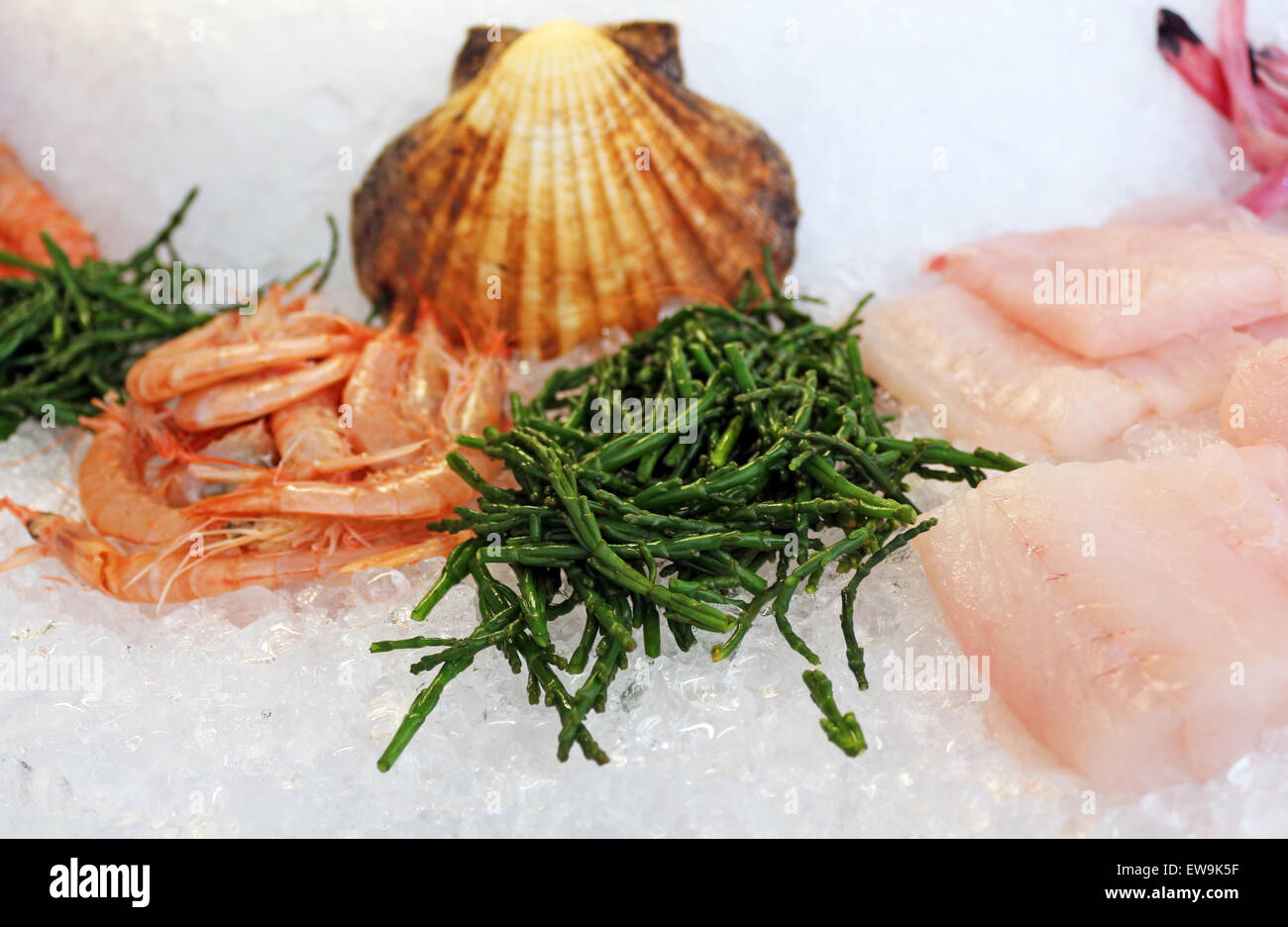 Scallops fish hires stock photography and images Alamy