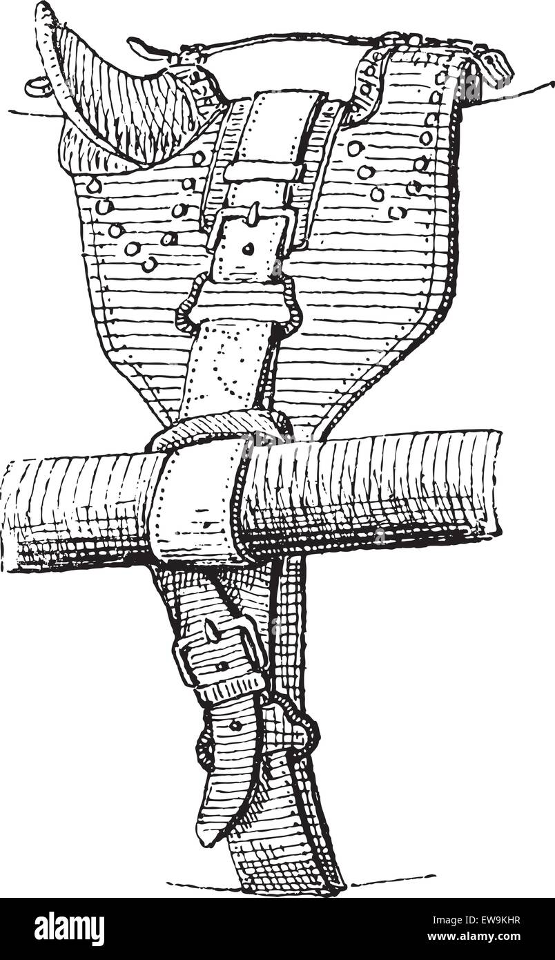 Girth vector vectors hires stock photography and images Alamy