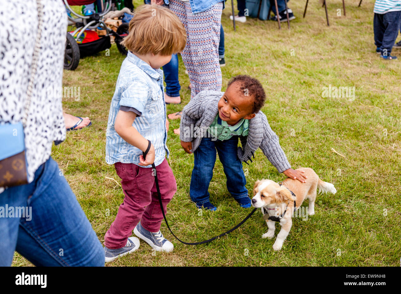 Small Boy Sroking A Pet Dog, High Hurstwood Fete, High Hurstwood, Sussex, UK Stock Photo